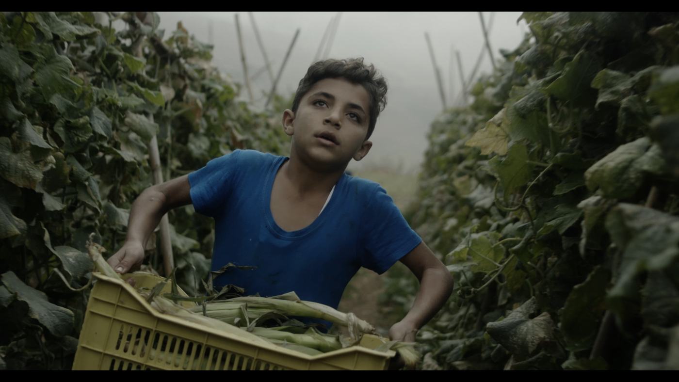 A boy in a blue shirt looks off-frame in a dim truck cab (3/12)