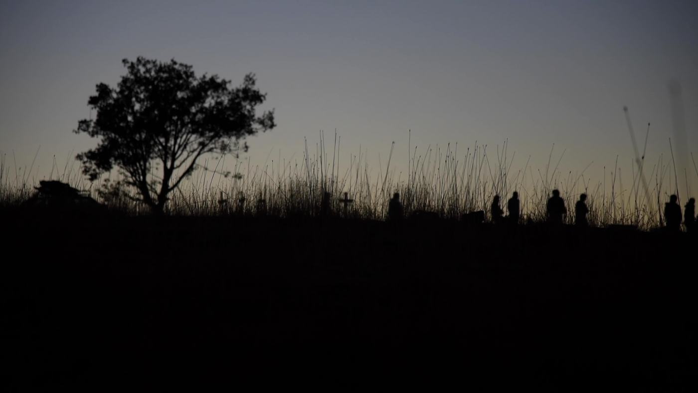 A lone tree on a dry mountain ridge under a pale sky (1/7)